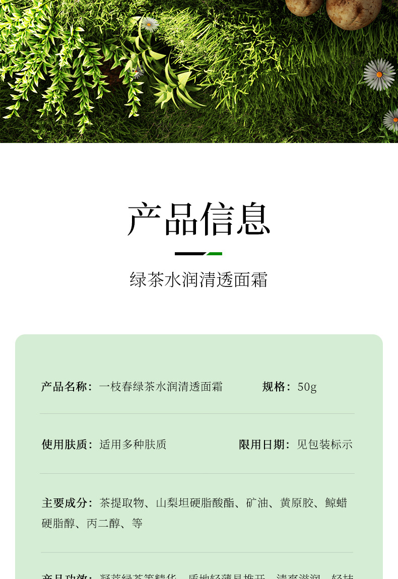 一枝春绿茶水润清透面霜 补水保湿滋润呵护嫩肤 面部护理面霜批发详情2