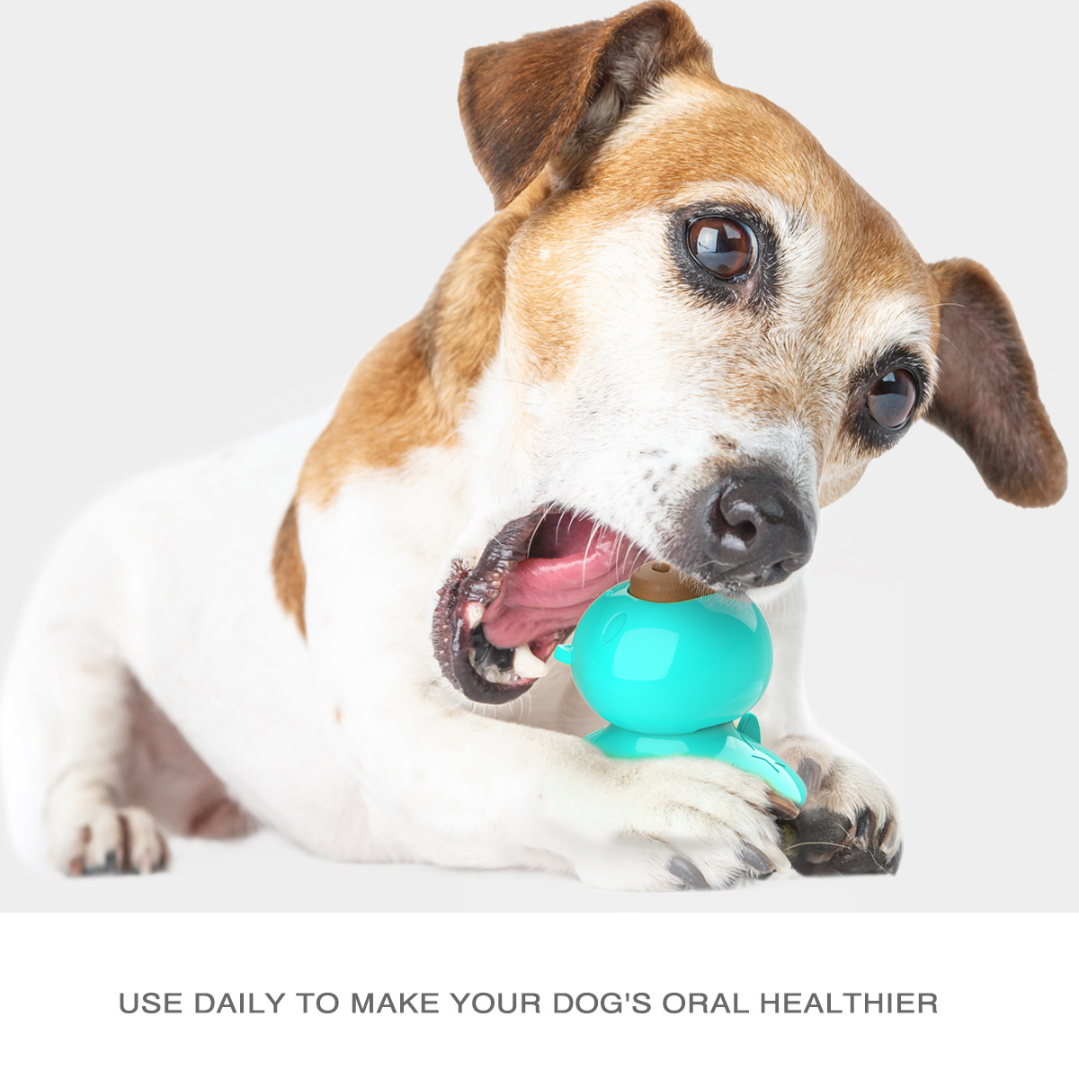 Wholesale of new pet toys: suction cups, teething sticks for pigs and dogs, biting and licking utensils, teething cakes, snacks, and dog toys details Picture