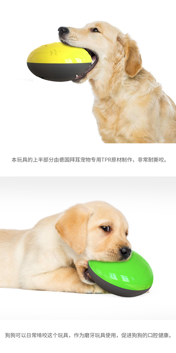 Pet supplies, vocal dog toys, cat and dog toys, vocal indoor sliding toys, practical wholesale manufacturer pic 4