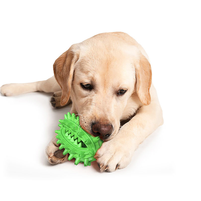 宠物用品跨境新品亚马逊仙人球狗狗玩具磨牙球棒狗牙刷详情图1