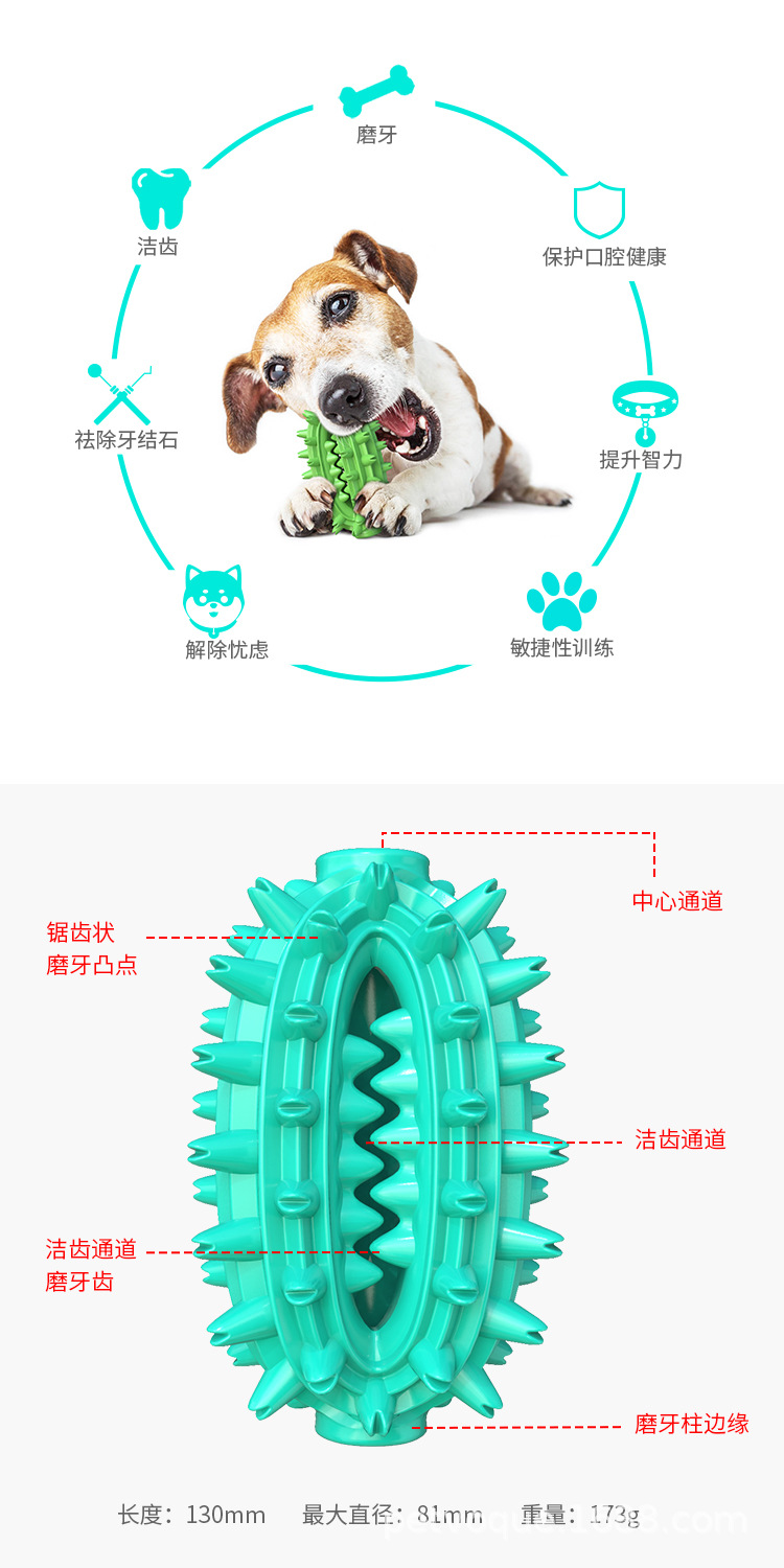 宠物用品跨境新品亚马逊仙人球狗狗玩具磨牙球棒狗牙刷详情2