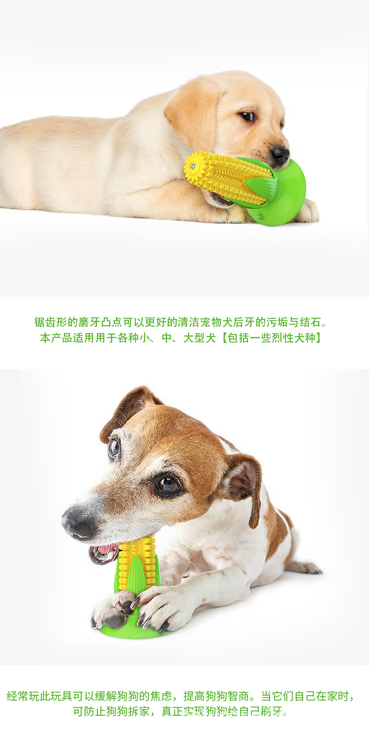 Amazon cross-border e-commerce suction cups, corn sounds, dog toys, teething sticks, chewing rubber, dog toothbrushes, pet supplies pic 6