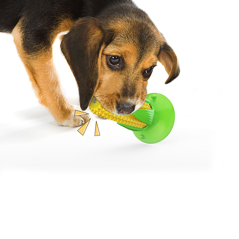 Amazon cross-border e-commerce suction cups, corn sounds, dog toys, teething sticks, chewing rubber, dog toothbrushes, pet supplies details Picture
