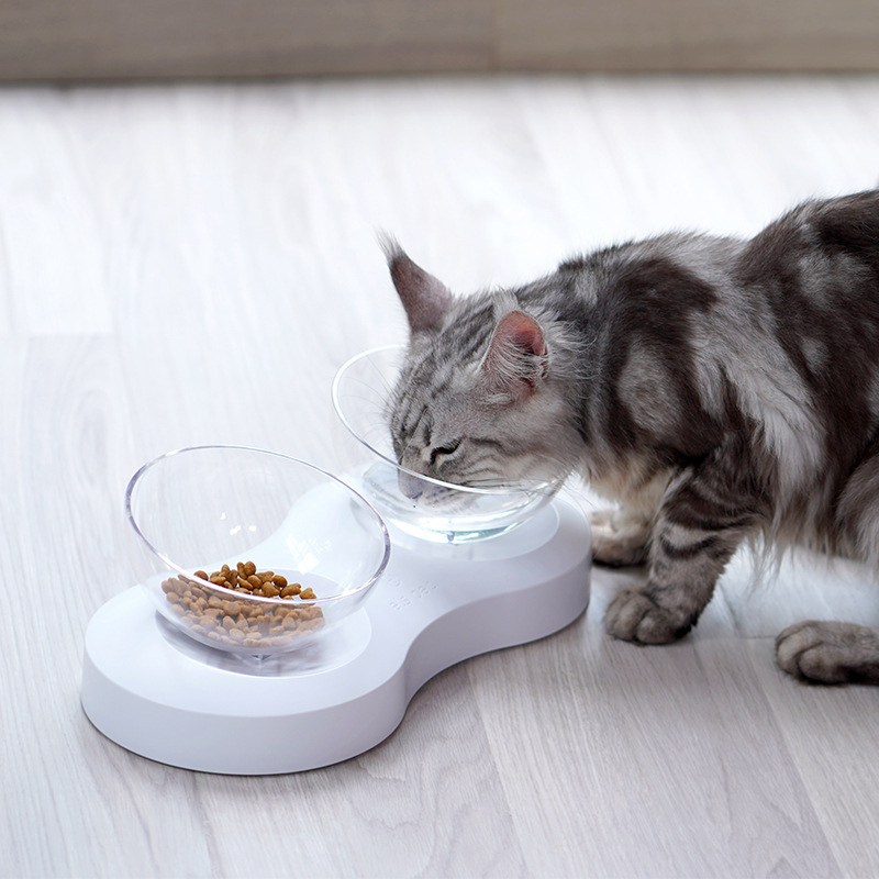 Xiaoyi's new cat bowl is an adjustable 20° slanted transparent pet product, a cat food bowl, a water dispenser, and a double bowl for water, food and cats Specification image
