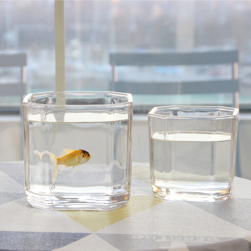 Yuxing Glass Wholesale transparent hydroponic glass square vases, hydroponic pothos succulents, table decorations, simple square fish tanks, vases, octagonal square vases Application Scenario
