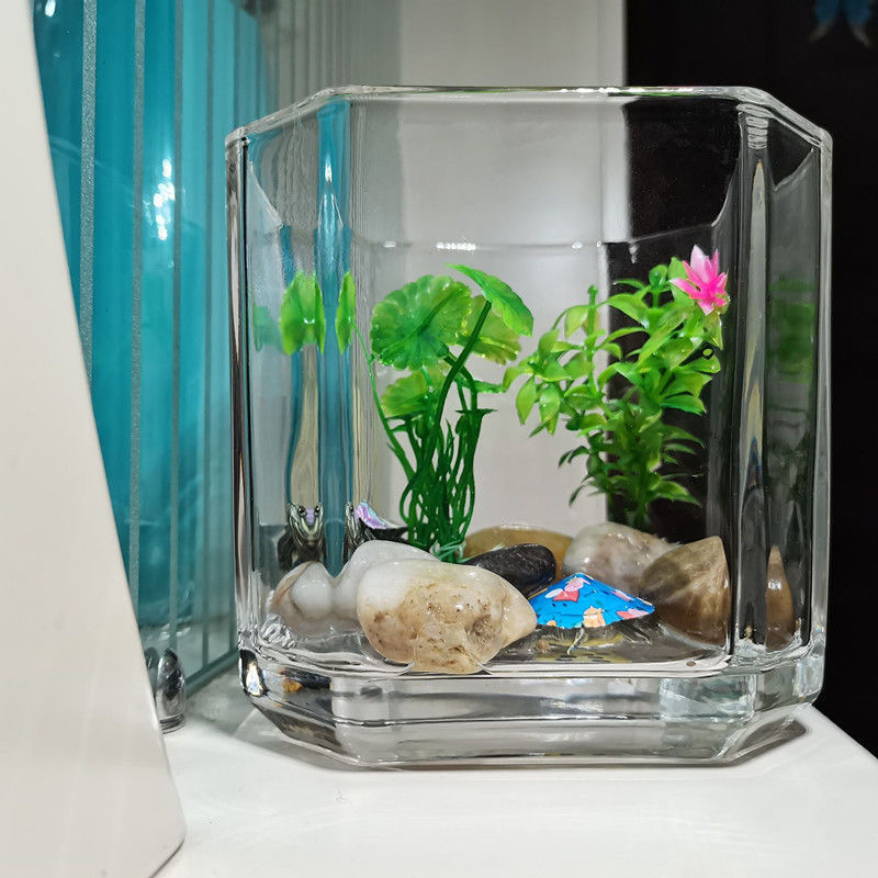 Yuxing Glass Wholesale transparent hydroponic glass square vases, hydroponic pothos succulents, table decorations, simple square fish tanks, vases, octagonal square vases Specification image