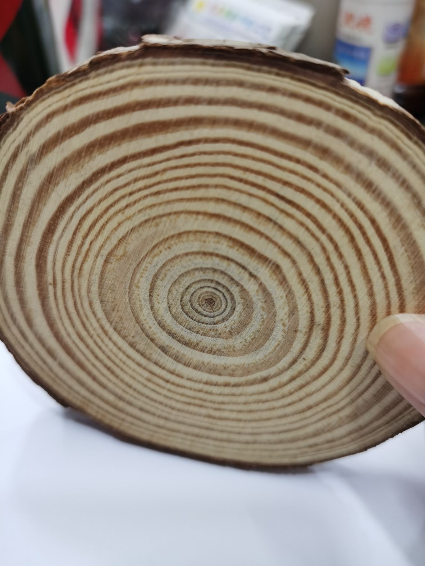 Log, pine disc, diameter, (16-18) cm, thickness: 2 cm. Specification drawing