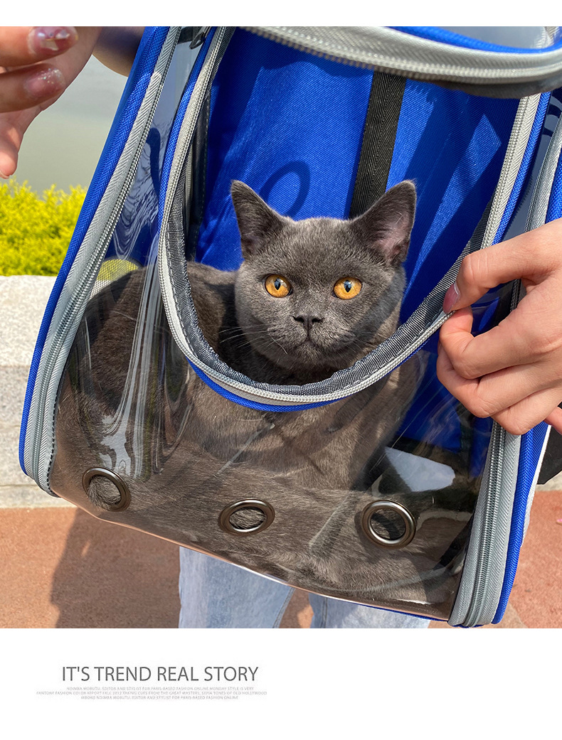 猫包透明外出车载包便携式猫咪狗狗背包 透气双肩宠物包宠物用品详情17