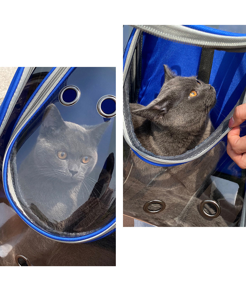 猫包透明外出车载包便携式猫咪狗狗背包 透气双肩宠物包宠物用品详情18
