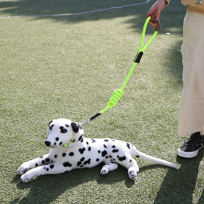 Manufacturers For Dog Leash Dog Chest Strap Nylon Pet Collar Pet Supplies Can Be Customized Wholesale details Picture