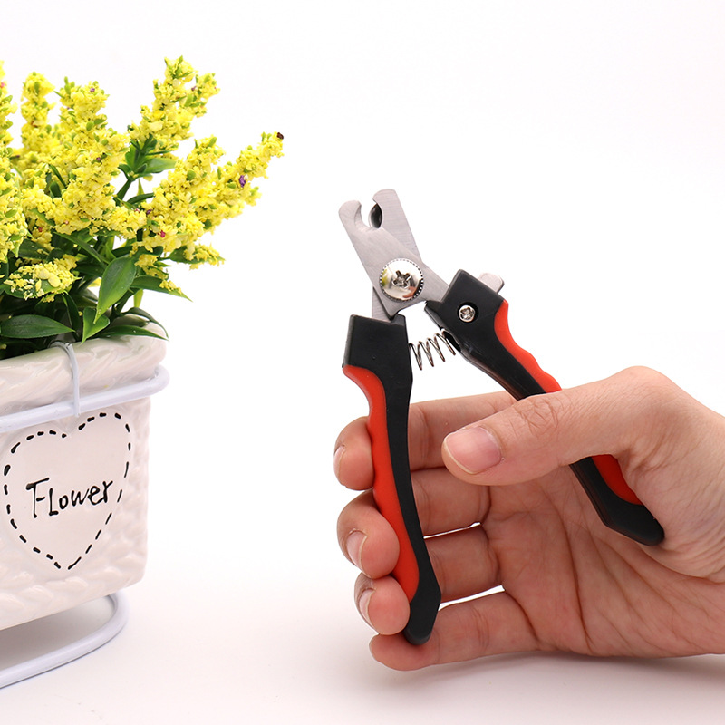 【 Small size 】 File set with card insert pet nail clippers, pet nail clippers Item Picture