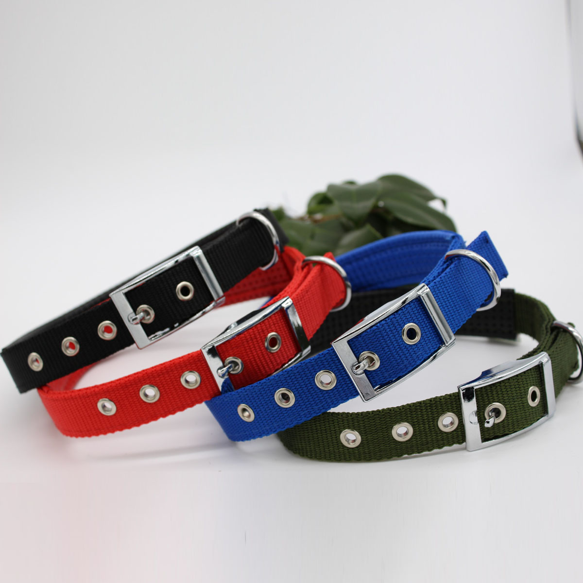 Pet Supplies Wholesale Dog Collar Small Medium Large Dog Collar Color Matching Pp Foam details Picture