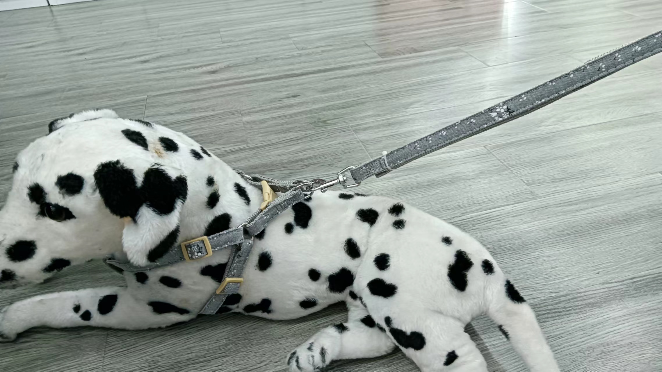 Pet Supplies Snowflake Cloth Puppy Leash Teddy Pomeranian Golden Retriever Dog Leash Cute Simple Chest Strap Dog Leash Item Picture