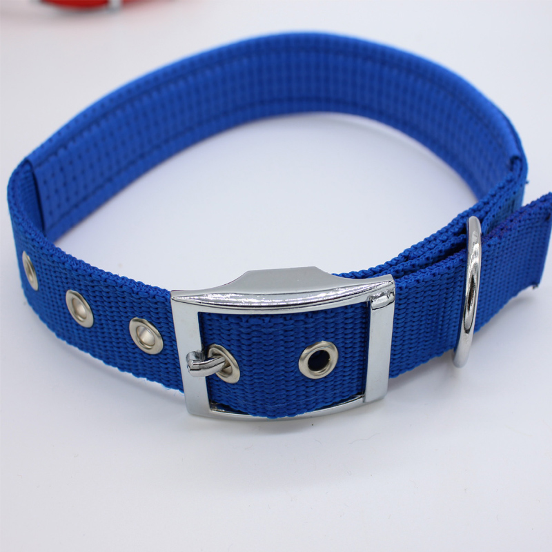 Pet Supplies Wholesale Dog Collar Small Medium Large Dog Collar Color Matching Pp Foam Item Picture