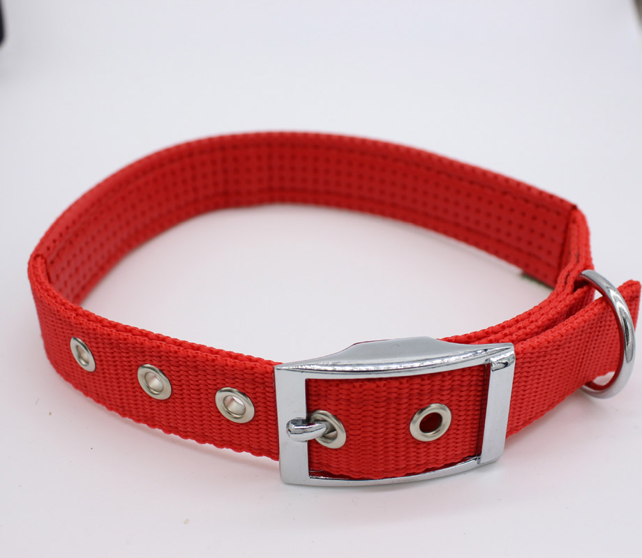 Pet Supplies Wholesale Dog Collar Small Medium Large Dog Collar Color Matching Pp Foam Application Scenario