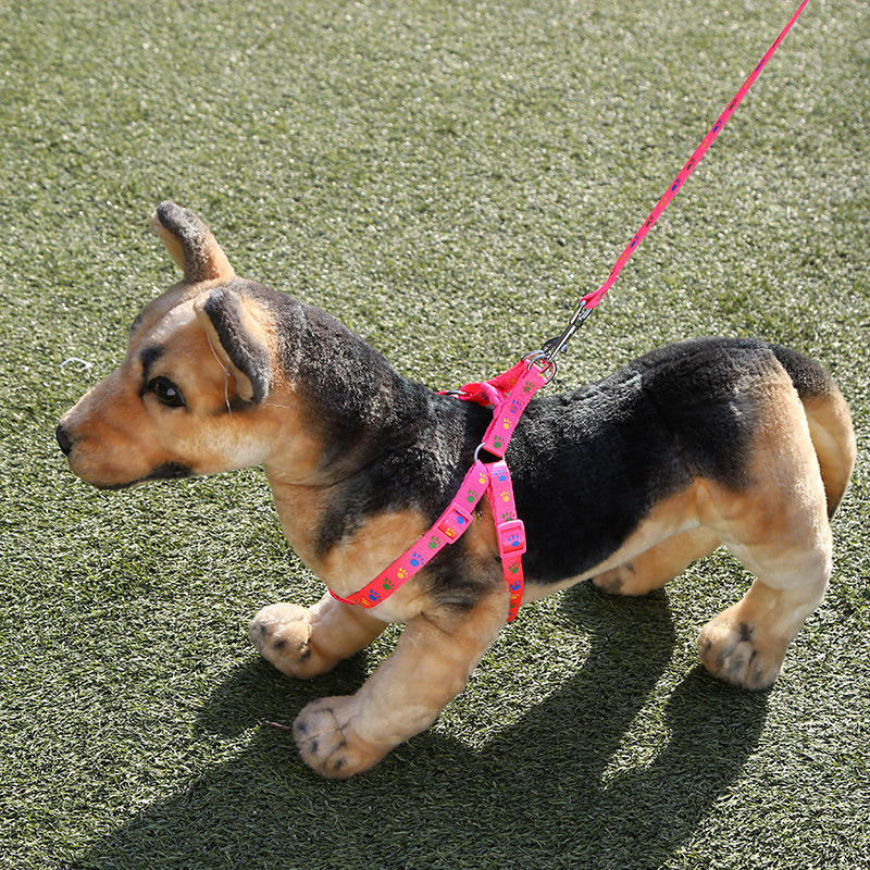 New Dog Chain Decals Dog Leash Economical Pet Leash Polyester Printed Chest Strap Wholesale Item Picture