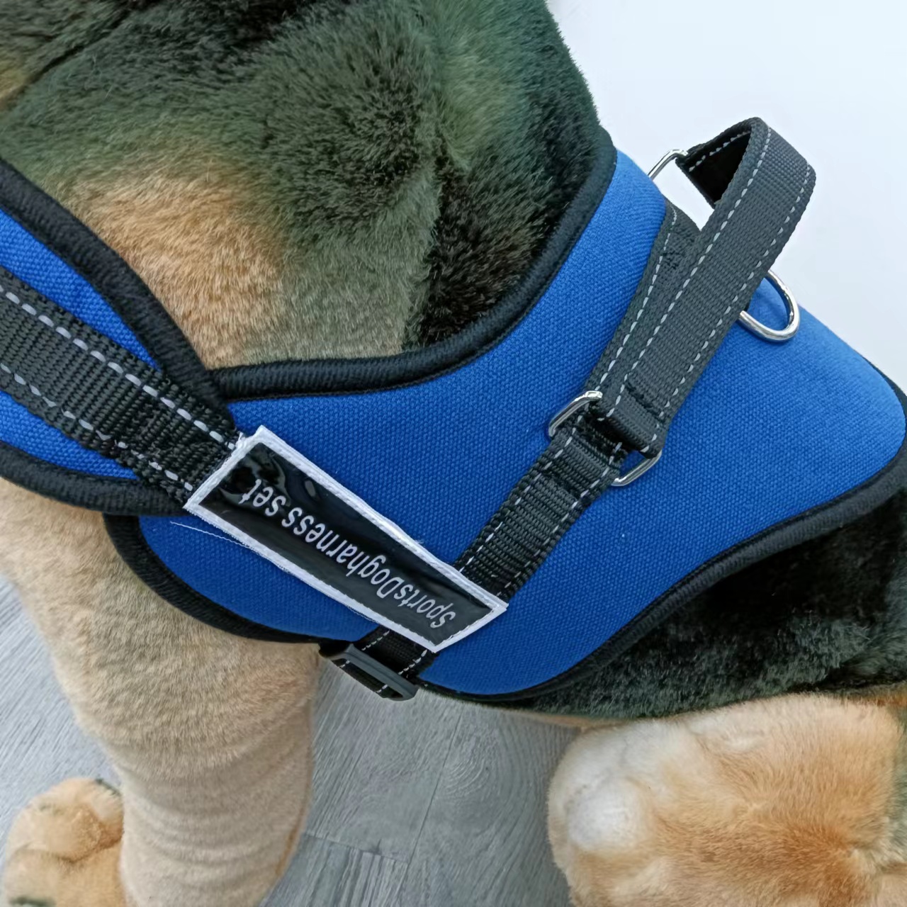 Cross-Border Hot Pet Chest Strap Leash Explosion-Proof Dog Leash Leash Chest Strap Protector Reflective Chest Back Application Scenario
