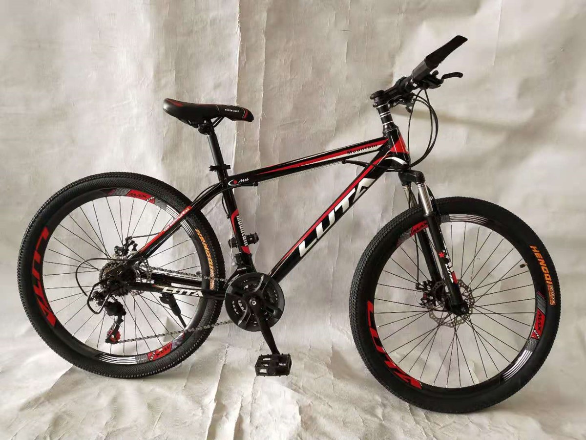 LUTA mountain bike 26 "21-736 full figure