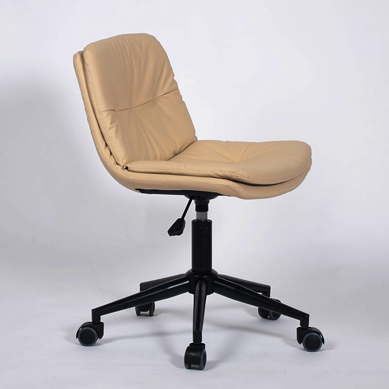 Lv Character Furniture - Nordic Modern Simple Computer Chair Home Office Meeting Chair Small Desk Chair Student Learning Leisure Swivel Chair Application Scenario