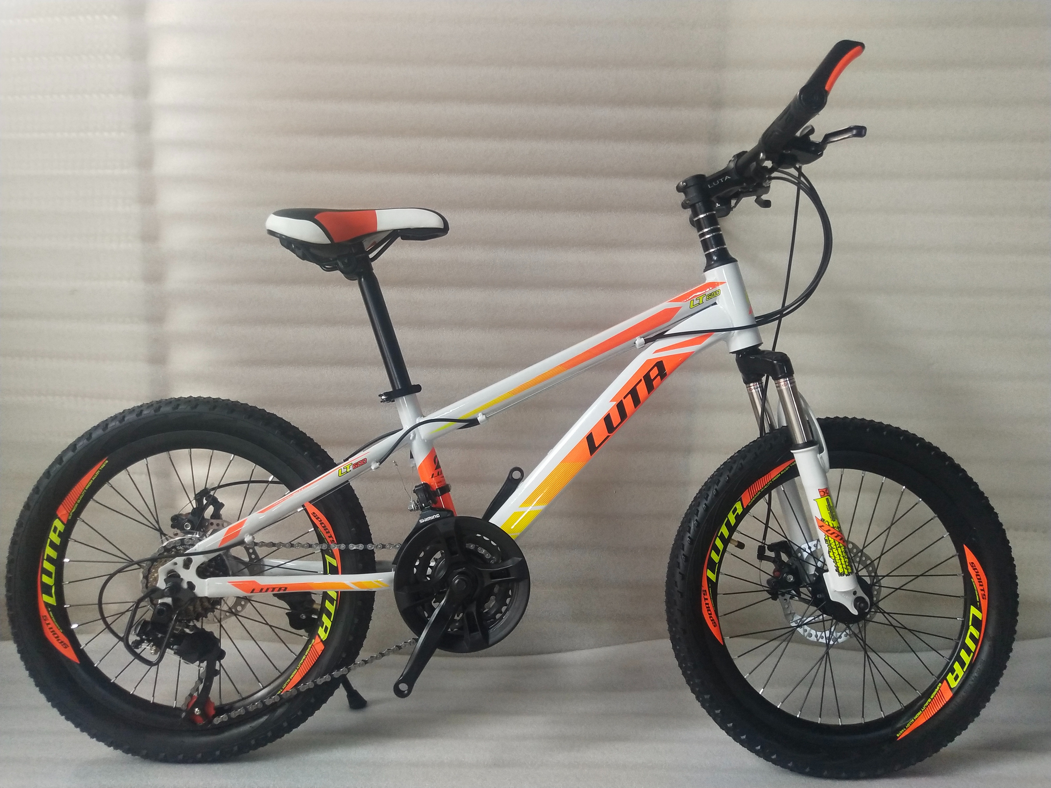 LUTA mountain bike 20 "21-753 details Picture