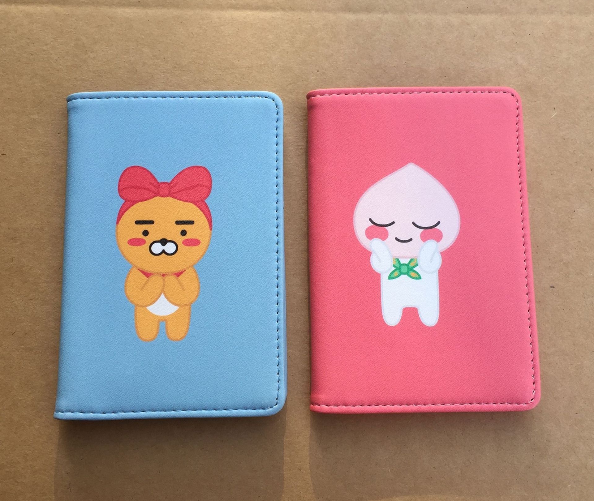Travel passport holder