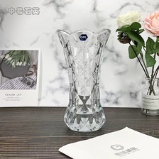 HP19DL-25朗旭玻璃客厅北欧透明富贵竹百合玫瑰干花水养培插花花瓶摆件