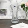 HP19DL-25朗旭玻璃客厅北欧透明富贵竹百合玫瑰干花水养培插花花瓶摆件图