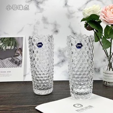 HP17-20-2朗旭玻璃客厅北欧透明富贵竹百合玫瑰干花水养培插花花瓶摆件