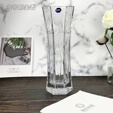 HP21-30-2朗旭玻璃客厅北欧透明富贵竹百合玫瑰干花水养培插花花瓶摆件