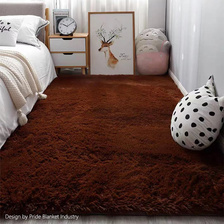 IBH丝毛地毯客厅沙发茶几地毯卧室可爱房间床边毯满铺榻榻米定制地垫BH22061508