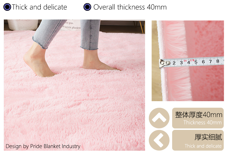 IBH简约现代地垫长毛客厅地毯 丝毛地毯4cm卧室床边榻榻米地毯纯色垫BH22061504详情5