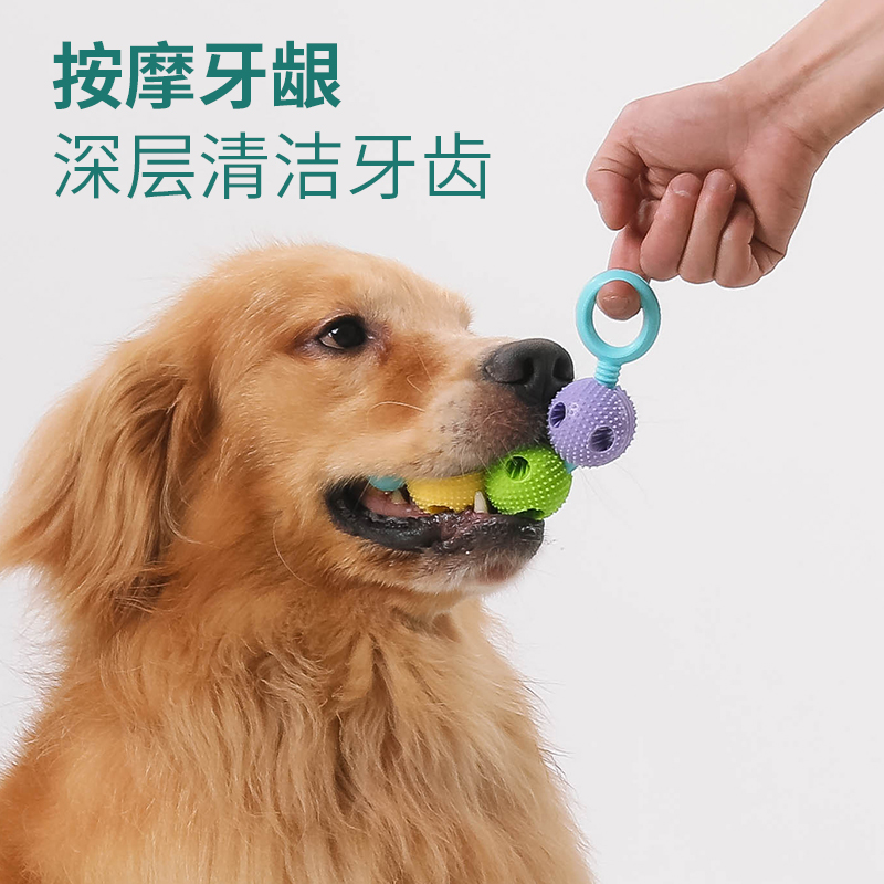 New pet toy, dog chew teething stick, tooth-cleaning leaky ball, durable spherical teething toy, pet supplies Application Scenario