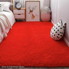 IBH加厚丝毛地毯卧室地毯床边瑜伽垫地毯地垫长毛客厅卧室地毯飘窗垫BH22061506