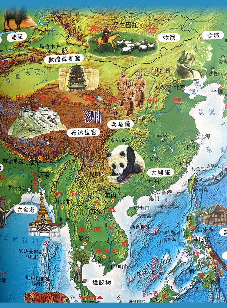 2022新版儿童地图中国和世界加厚版高清覆膜防水7到12岁小学生知识启蒙少儿墙贴详情15