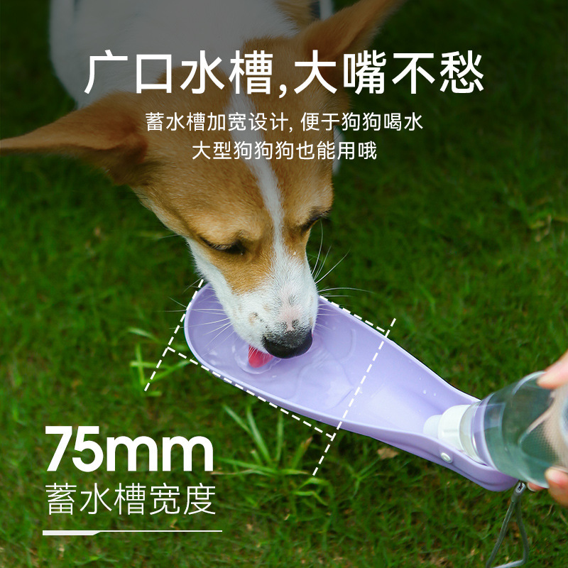 狗狗食具实物图