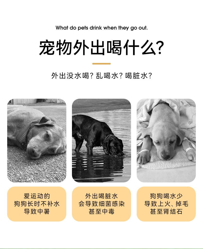 新款宠物外出饮水器可折叠水杯便携外出狗狗饮水杯大容量宠物用品详情2
