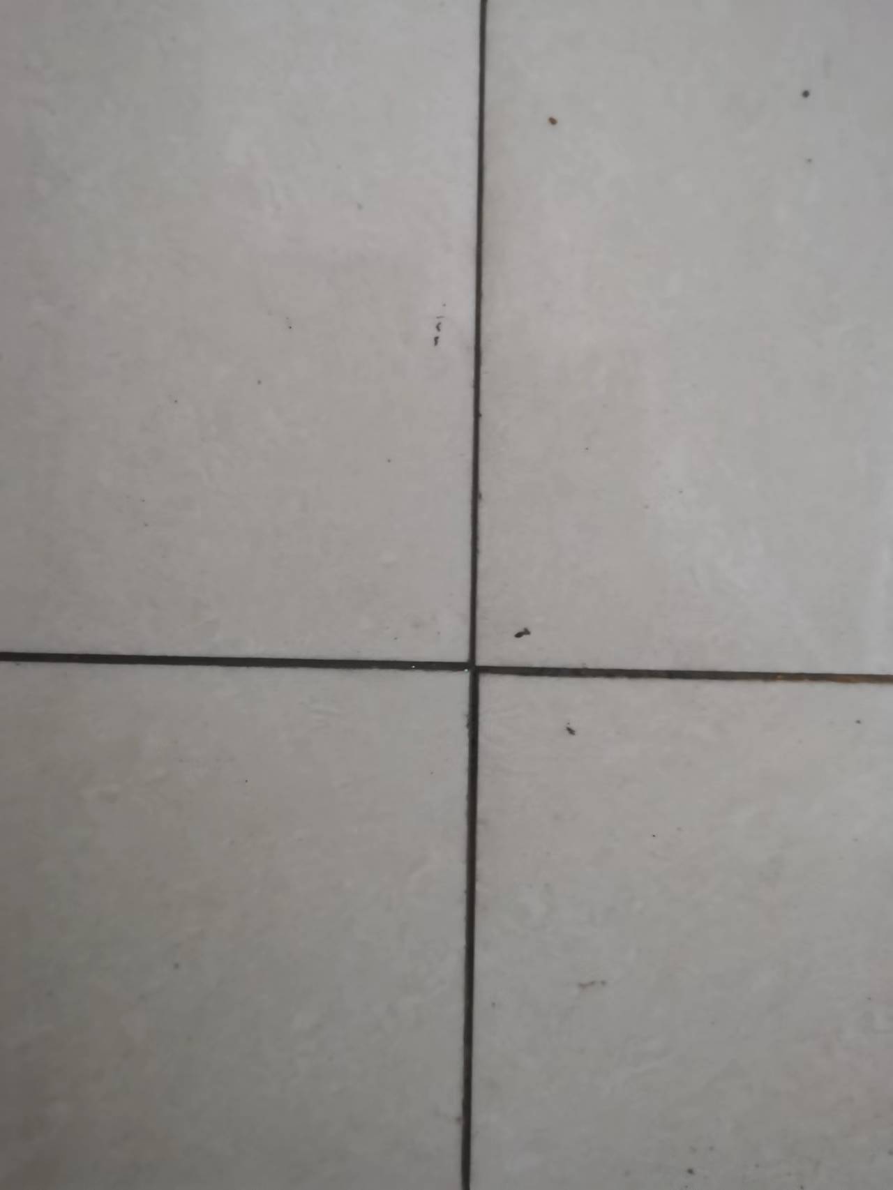 Store 6212794 describe pic - 3