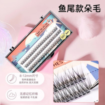 Fishtail grafted cross eyelash dovetail section fleeced 20P single cluster simulation false eyelash