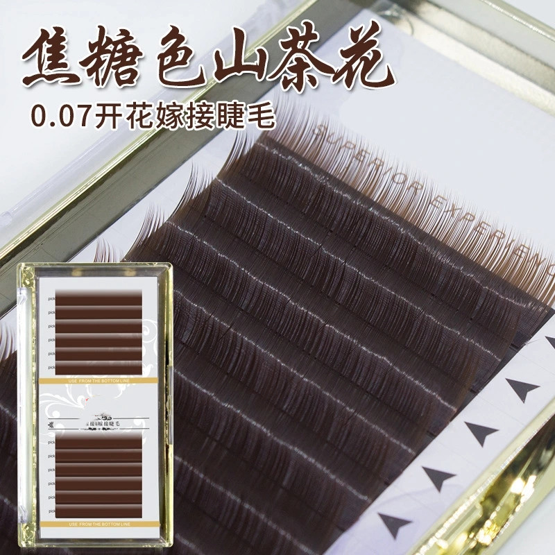 0.07 Black caramel camellia eyelashes Color flowering graft planted brown brown brown factory treatment