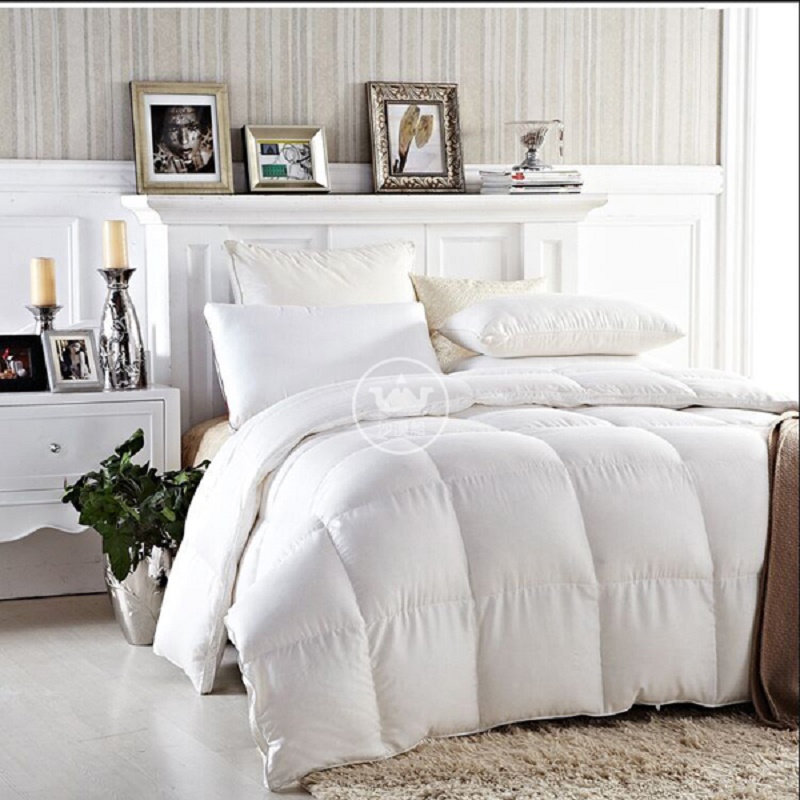 Desert Ship White down QUILT, winter quilt CORE, high-end five-star HOTEL bed linen, 90-day standard, thickened, warm, high down content, light and warm HOTEL QUILT CORE details Picture