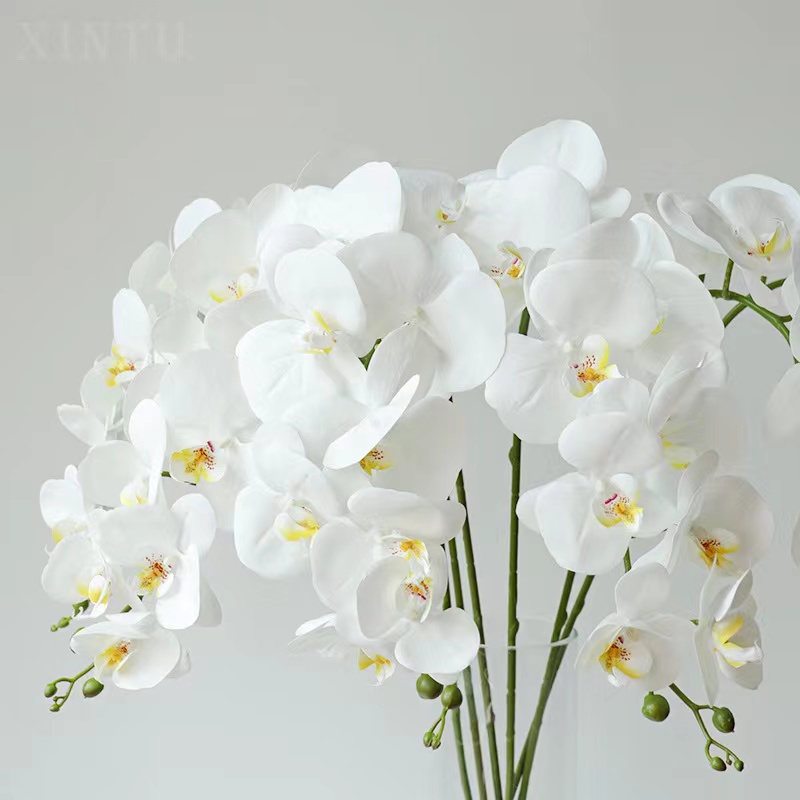 Manufacturers direct 3D printing film 9 feel Phalaenopsis simulation flower home wedding decoration fake flowers thumbnail