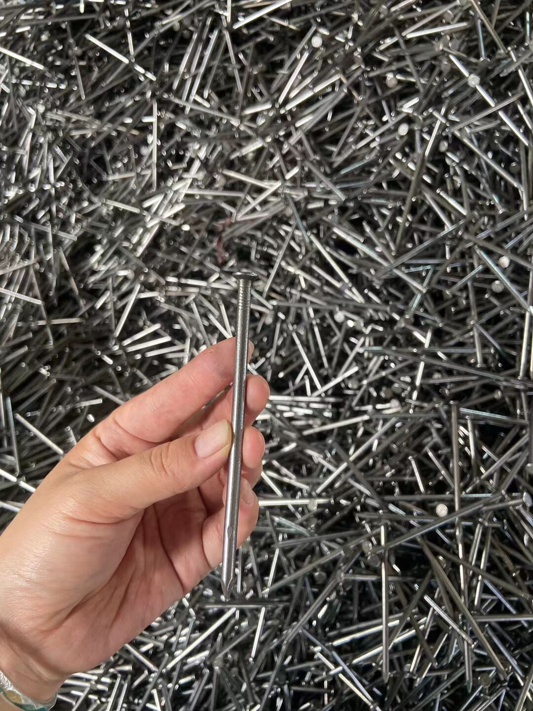 Iron nails Common nails shaped nails Common iron round nails Common iron nails Woodworking nails home improvement nails nails, common iron nails, round nails, board nails, common nails