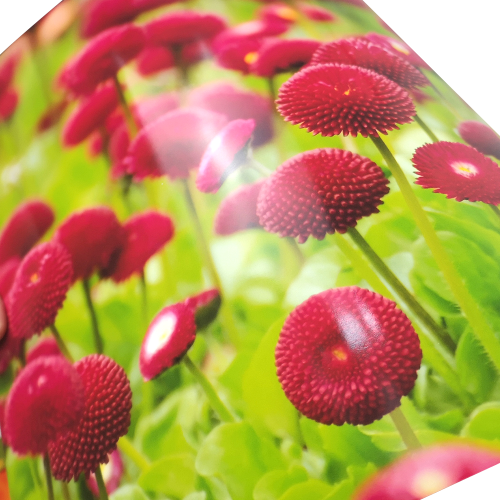 Síion 230gr papel fotográfico highlight papel fotográfico papel fotográfico A4 highlight 20 papel fotográfico inkjet papel fotográfico papel fotográfico papel fotográfico pic 1
