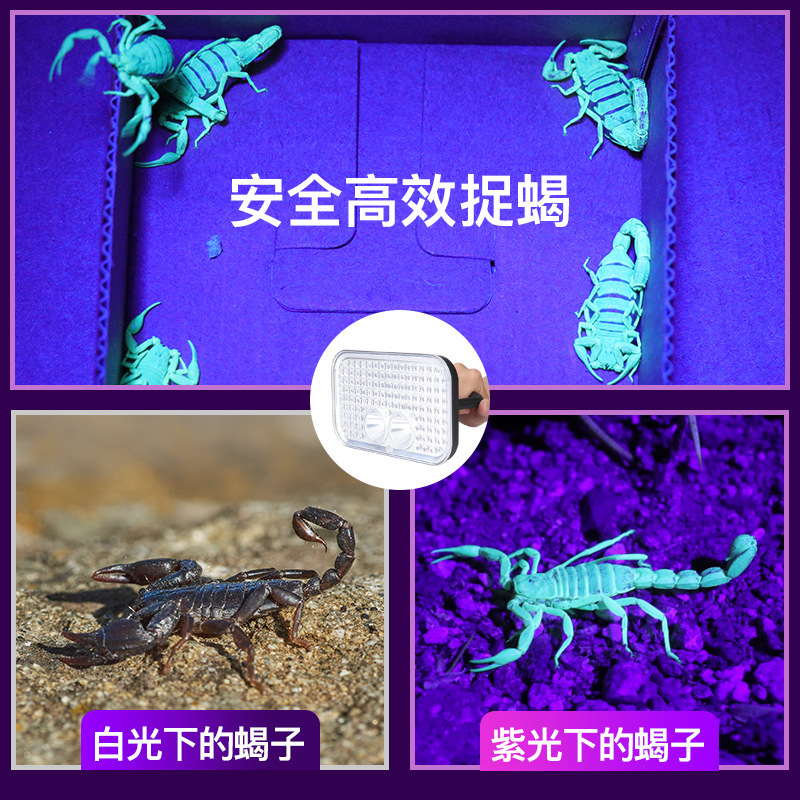 New LED outdoor headlight waterproof rechargeable headlight scorpion catch big spot purple light scorpion headlight Item Picture