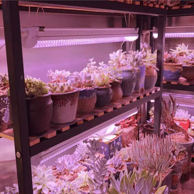 led plant light tube full spectrum light plant growth light succulent fill light anti-painting High power 36W
