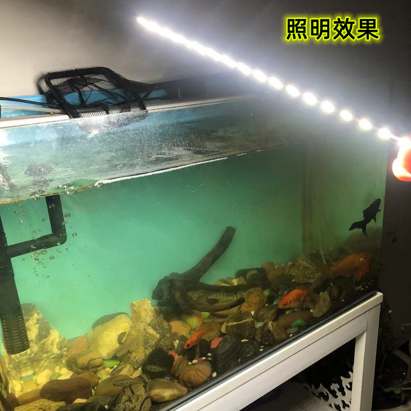Car LED light 12V ultra-bright light board, express delivery vehicle lighting lamp, reading light source, tricycle roof light Item Picture