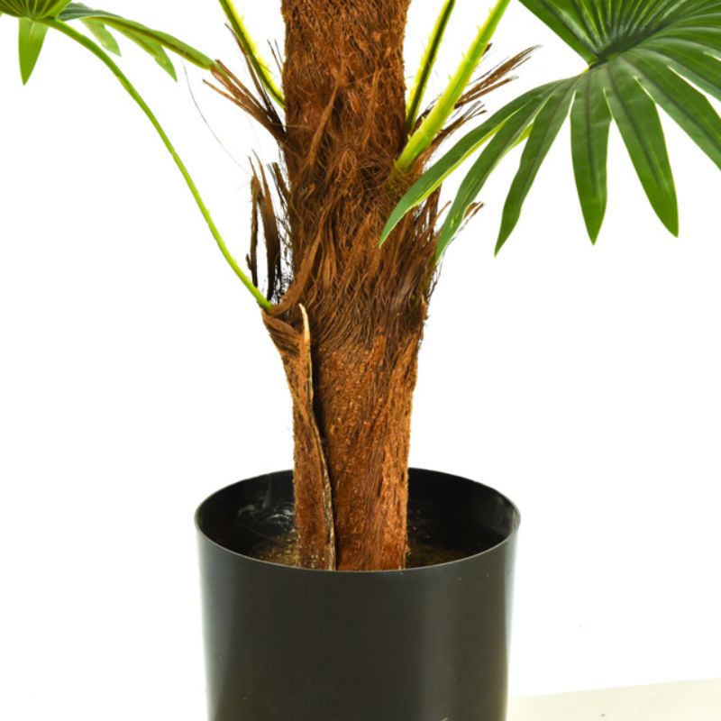 Simulation Pukui tree Tang Tan Pukui fan Kwai tree pot simulation tree simulation palm plant pot wholesale thumbnail