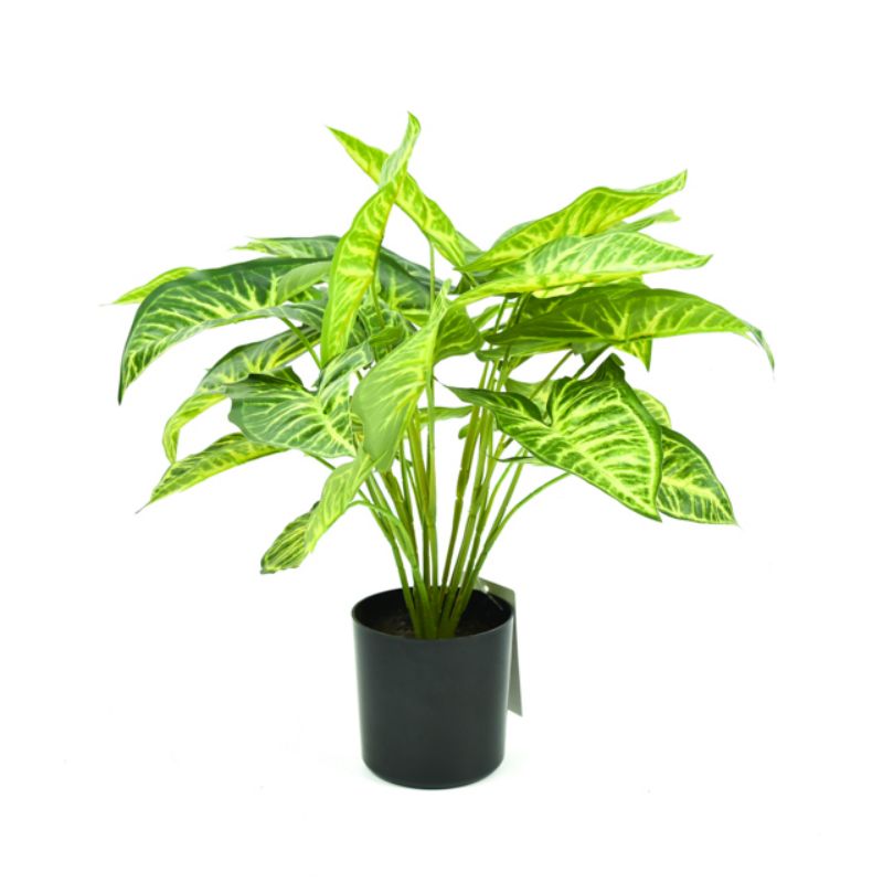 Simulation Nordic plant creative living room interior flower decoration living room fake green plants potted decorations INS network red bonsai 11 thumbnail