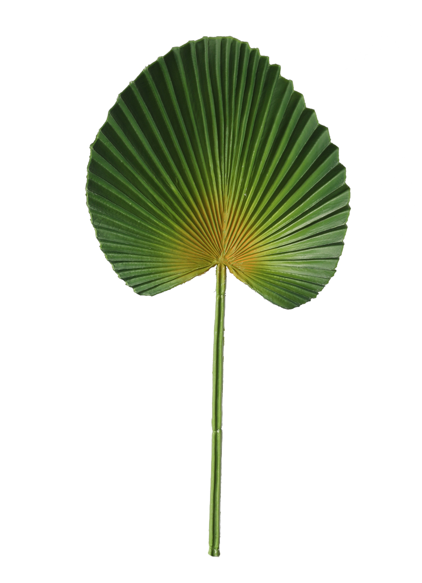 Artificial plant PU turtle-back leaf artificial flower spring rain leaf flower arrangement soft rubber plant accessory material sunflower fan leaf material design decoration HC31344 pic 2