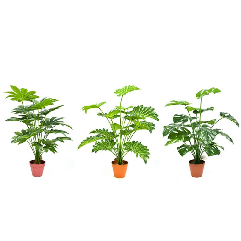Single plant simulation large green plant potted decoration fake flower family commercial landing decoration simulation plant Application Scenario